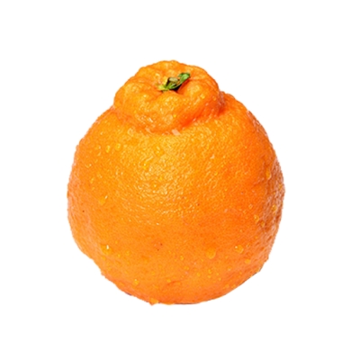 Jeju hallabong citrus, a source of Immune Polys