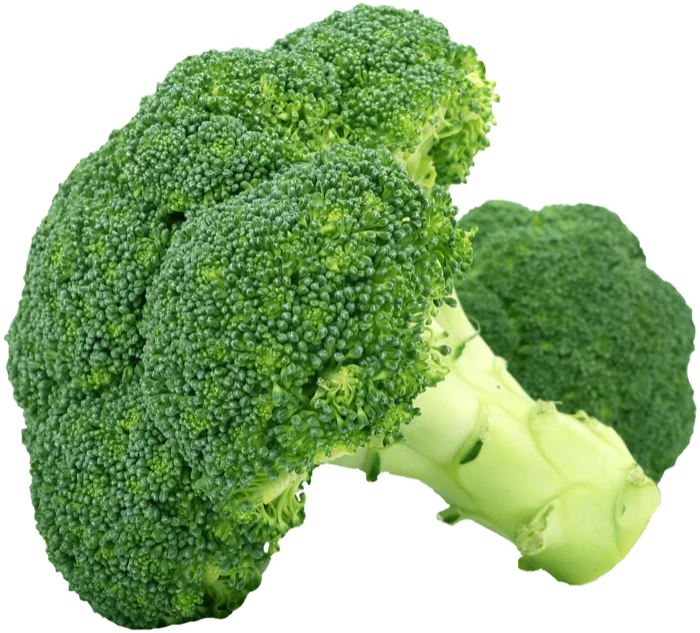 Fresh Jeju broccoli leaf and sprout, source of BK bio's sulforaphane ingredients.