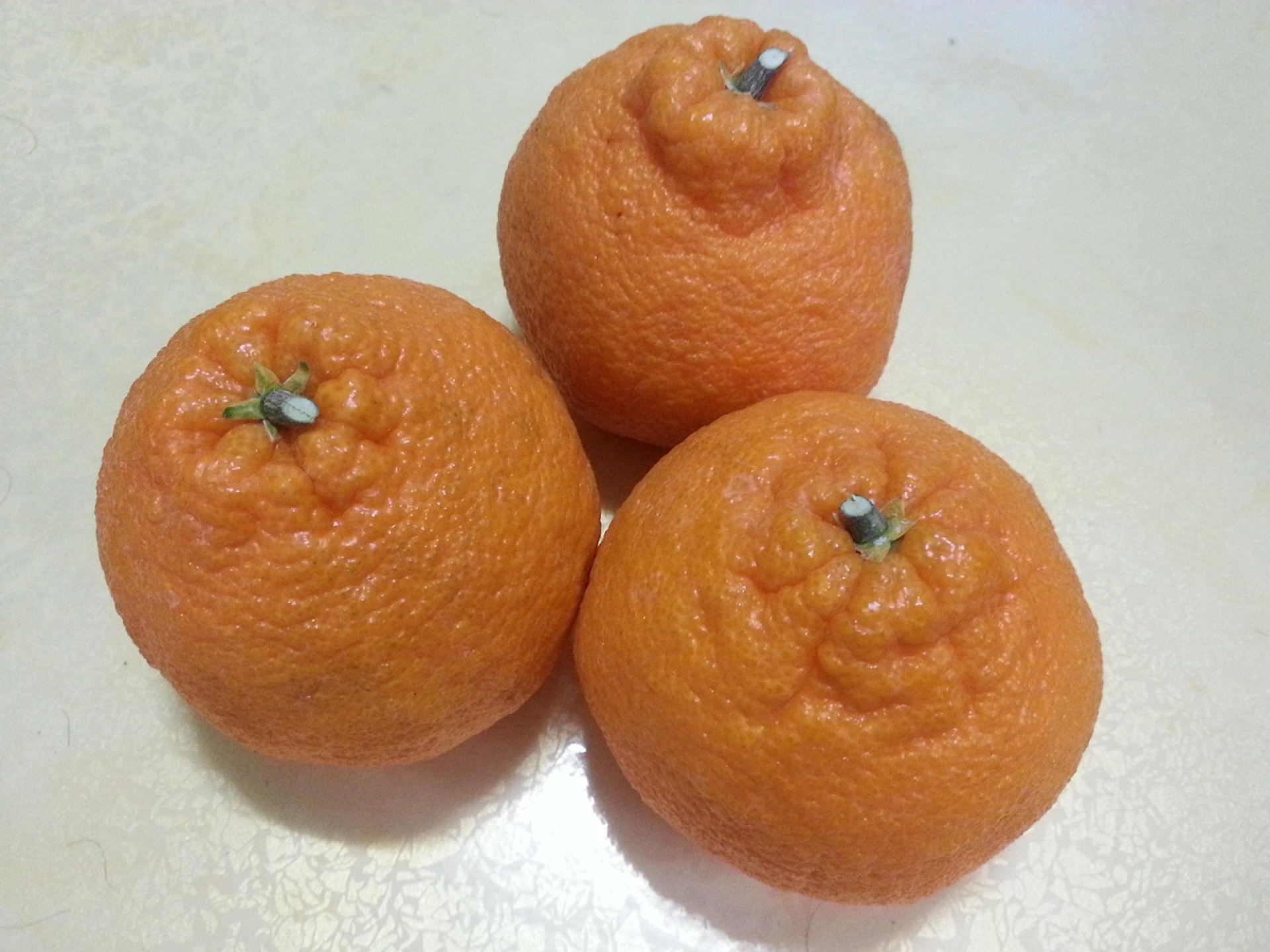 Jeju Hallabong citrus fruit, source of BK bio's immune polysaccharides.