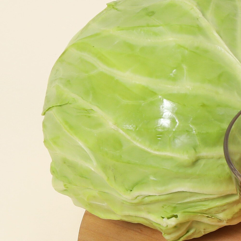 Jeju cabbage, the source of the LactisCut probiotic