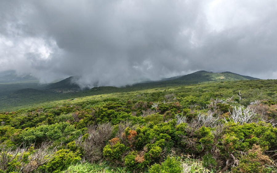 Jeju's green volcanic highlands on Hallasan, the island's UNESCO Biosphere Reserve.